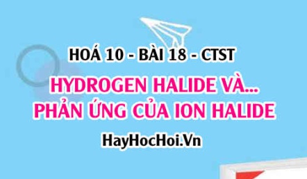 Tính chất vật lí của Hydrogen Halide, tính axit của Hydrohalic, tính khử của các ion Halide - Hoá 10 bài 18 CTST